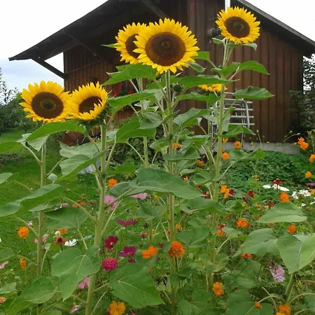 Keller Lippertsreute