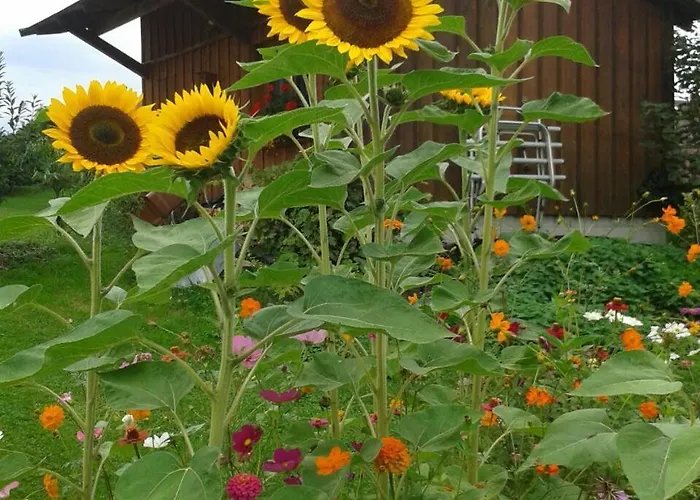 Keller Lippertsreute